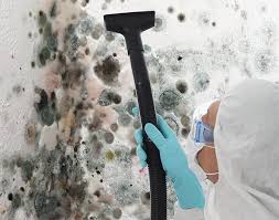 Forensic Mold Investigation